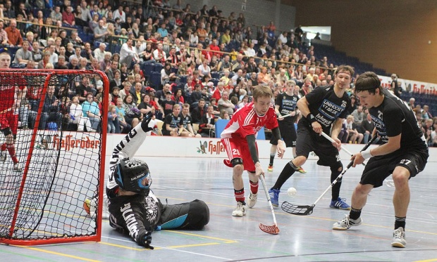 Die Red Devils spielen das Meisterschafs-Finale am 10. Mai 2015 in der Harzlandhalle Ilsenburg
