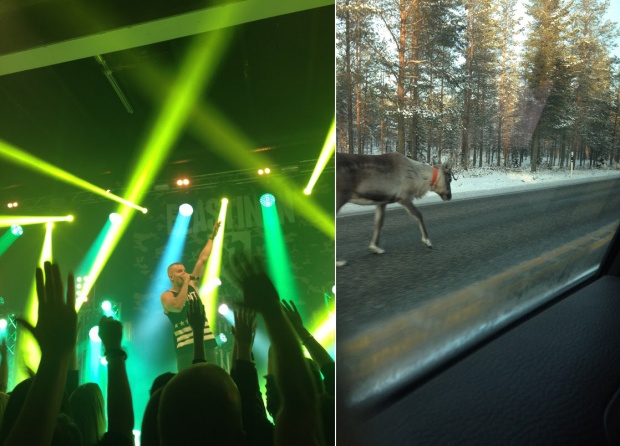 Besondere Erlebnisse in Finnland: Auf einem Konzert von Elastinen, einem der erfolgreichsten finnischen Musiker (Rapper) zurzeit und ein Rentier mitten auf der Strasse