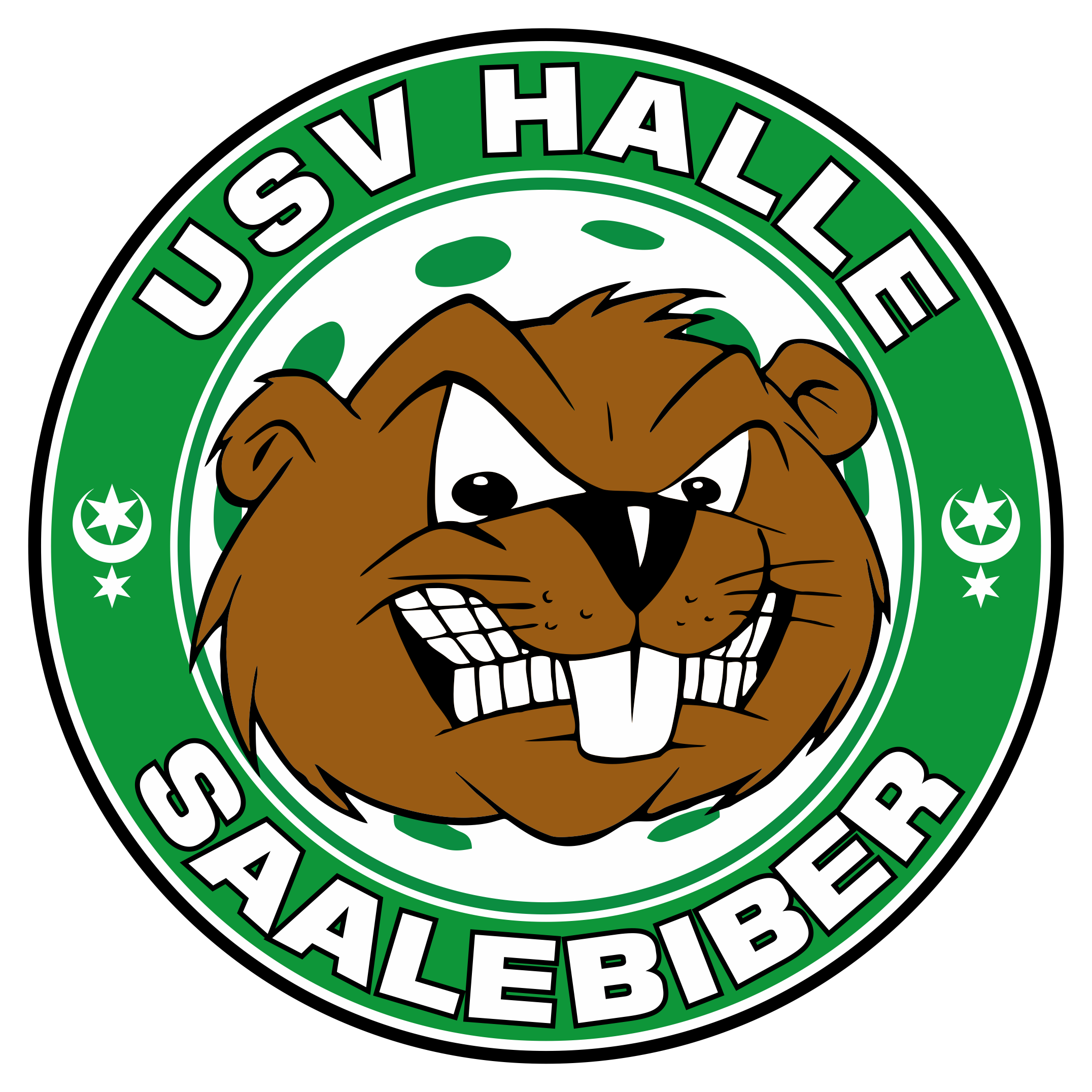 USV Halle Saalebiber